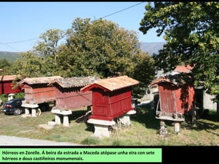 Hórreos en Zorelle. Á beira da estrada a Maceda atópase unha eira con sete
hórreos e dous castiñeiros monumenais.
 