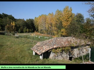 Muíño e área recreativa do río Maceda ou Sor en Maceda.
 