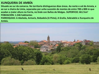 XUNQUEIRA DE AMBÍA
Situado ao sur da comarca. No territorio distínguense dúas áreas. Ao norte o val do Arnoia, e
ao sur a chaira da Limia, separadas por unha sucesión de montes de entre 700 e 800 m que
acadan a maior altura no Farría, no linde con Baños de Molgas. SUPERFICIE: 60.2 km2
POBOACIÓN: 1.546 habitantes
PARROQUIAS: A Abeleda, Armariz, Bobadela (A Pinta), A Graña, Sobradelo e Xunqueira de
Ambía.
 