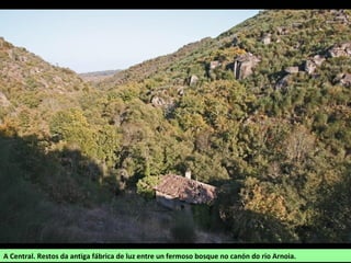 A Central. Restos da antiga fábrica de luz entre un fermoso bosque no canón do río Arnoia.
 