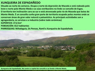 XUNQUEIRA DE ESPADAÑEDO
Situado ao norte da comarca. Ocupa o norte da depresión de Maceda e está rodeada polo
leste e norte polo Monte Meda e as súas estribacións no linde co concello de Esgos.
O territorio ten inclinación cara ao sur e está atravesado polo río de Maceda que baixa do
Monte Meda. É un concello cunha gran parte de territorio ocupado polos montes onde se
conservan áreas de gran valor natural e paisaxístico. As principais actividades son a
agrogandaría, os servizos e a industria (sobre todo cerámicas)
SUPERFICIE: 27,6 km2
POBOACIÓN: 812 habitantes
PARROQUIAS: Niñodaguia, Os Pensos, Ramil e Xunqueira de Espadañedo
Xunqueira de Espadañedo. No centro a capital do concello e ao fondo o Monte Meda.
 