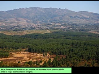 Parte da depresión de Maceda e a serra de San Mamede desde o monte Medo,
onde se atopa o santuario dos Milagres.
 