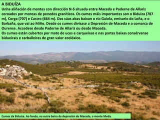 A BIDUÍZA
Unha aliñación de montes con dirección N-S situada entre Maceda e Paderne de Allariz
coroados por moreas de penedos graníticos. Os cumes máis importantes son o Biduiza (787
m), Corga (707) e Castro (664 m). Das súas abas baixan o río Gaiola, emisario do Loña, e o
Barbaña, que vai ao Miño. Desde os cumes divísase a Depresión de Maceda e a comarca de
Ourense. Accedese desde Paderne de Allariz ou desde Maceda.
Os cumes están cubertos por mato de uces e carqueixas e nas partes baixas consérvanse
bidueirais e carballeiras de gran valor ecolóxico.
Cumes da Biduíza. Ao fondo, na outra beira da depresión de Maceda, o monte Meda.
 
