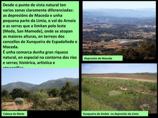 Desde o punto de vista natural ten
varias zonas claramente diferenciadas:
as depresións de Maceda e unha
pequena parte da Limia, o val do Arnoia
e as serras que a limitan polo leste
(Meda, San Mamede), onde se atopan
as maiores alturas, en terreos dos
concellos de Xunqueira de Espadañedo e
Maceda.
É unha comarca dunha gran riqueza
natural, en especial na contorna dos ríos
e serras; histórica, artística e
etnográfica.
Depresión de Maceda
Xunqueira de Ambía na depresión da LimiaCabeza de Meda
 