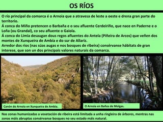 O río principal da comarca é o Arnoia que a atravesa de leste a oeste e drena gran parte do
territorio.
Á conca do Miño pretencen o Barbaña e o seu afluente Cerdeiriño, que nace en Paderne e o
Loña (ou Grandal), co seu afluente o Gaiola.
Á conca do Limia desaugan dous regos afluentes do Antela (Piñeira de Arcos) que veñen dos
montes de Xunqueira de Ambía e do sur de Allariz.
Arredor dos ríos (nas súas augas e nos bosques de ribeira) consérvanse hábitats de gran
interese, que son un dos principais valores naturais da comarca.
OS RÍOS
Nas zonas humanizadas a vexetación de ribeira está limitada a unha ringleira de árbores, mentras nas
zonas máis abruptas consérvanse bosques no seu estado máis natural.
O Arnoia en Baños de Molgas.Canón do Arnoia en Xunqueira de Ambia.
 
