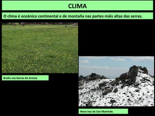 CLIMA
O clima é oceánico continental e de montaña nas partes máis altas das serras.
Braña nas beiras do Arnoia
Neve nos de San Mamede.
 