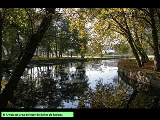 O Arnoia na área de lecer de Baños de Molgas.
 