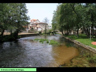 O Arnoia en Baños de Molgas.
 