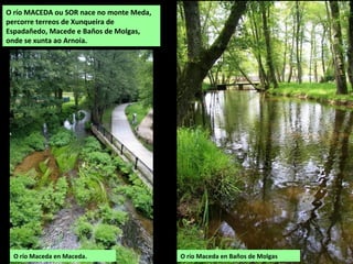 O río MACEDA ou SOR nace no monte Meda,
percorre terreos de Xunqueira de
Espadañedo, Macede e Baños de Molgas,
onde se xunta ao Arnoia.
O río Maceda en Maceda. O río Maceda en Baños de Molgas
 