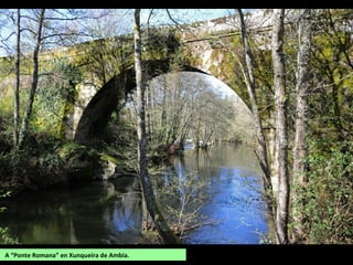 A “Ponte Romana” en Xunqueira de Ambía.
 