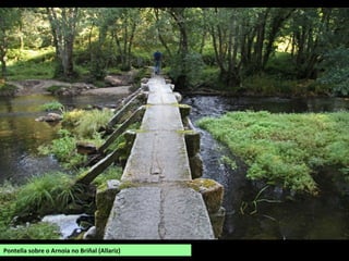Pontella sobre o Arnoia no Briñal (Allariz)
 