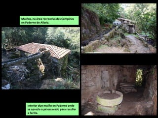 Muíños, na área recreativa das Campinas
en Paderne de Allariz.
Interior dun muíño en Paderne onde
se aprecia o pé escavado para recoller
a fariña.
 