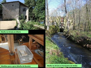Medidas para o gran (Muíño do Burato). Muíño no Arnoia en Xunqueira de Ambía
Muíño no Arnoia en Allariz
 