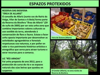 ESPAZOS PROTEXIDOS
RESERVA DAS BIOSFERA
“ÁREA DE ALLARIZ”
O concello de Allariz (xunto cos de Rairiz da
Veiga, Vilar de Santos e A Bola) forma parte
da Reserva da Biosfera “Área de Allariz” (29
de xuño de 2005) por ser esta unha zona que
combina importantes valores culturais co
uso sostible da terra, atendendo á
conservación de flora e fauna. Estase a facer
unha aposta importante por desenvolver as
actividades agrogandeiras e forestais
respetuosas coa natureza, e por poñer en
valor o rico patrimonio histórico-artístico e
etnográfico que serva para atraer turismo e
xerar recursos para a comarca.
LIC “RÍO ARNOIA”
Foi unha proposta do ano 2012, para a
protección do curso do río e os espazos
naturais das súas beiras que quedou en
suspenso.
Feira de Outono (Allariz)
O Canelar (Allariz), na zona núcleo da
Reserva da Biosfera.
 