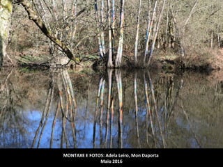 MONTAXE E FOTOS: Adela Leiro, Mon Daporta
Maio 2016
 