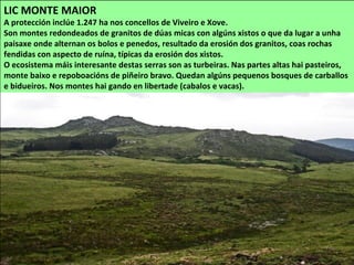LIC MONTE MAIOR
A protección inclúe 1.247 ha nos concellos de Viveiro e Xove.
Son montes redondeados de granitos de dúas micas con algúns xistos o que da lugar a unha
paisaxe onde alternan os bolos e penedos, resultado da erosión dos granitos, coas rochas
fendidas con aspecto de ruína, típicas da erosión dos xistos.
O ecosistema máis interesante destas serras son as turbeiras. Nas partes altas hai pasteiros,
monte baixo e repoboacións de piñeiro bravo. Quedan algúns pequenos bosques de carballos
e bidueiros. Nos montes hai gando en libertade (cabalos e vacas).
 