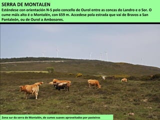 Zona sur da serra de Montalén, de cumes suaves aproveitados por pasteiros
SERRA DE MONTALEN
Esténdese con orientación N-S polo concello de Ourol entre as concas do Landro e o Sor. O
cume máis alto é o Montalén, con 659 m. Accedese pola estrada que vai de Bravos a San
Pantaleón, ou de Ourol a Ambosores.
 