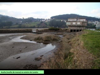 Aceña (muíño de marea) no esteiro do Landro
 