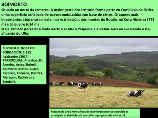 SUPERFICIE: 82,32 km2
POBOACIÓN: 2.115
habitantes (2014)
PARROQUIAS: Andabao, Os
Ánxeles, Arceo, Boimil,
Boimorto, Brates, Buazo,
Cardeiro, Corneda, Dormeá,
Mercurín, Rodieiros e
Sendelle.
Paisaxe da área montañosa de Boimorto onde se aprecian as
principais actividades do concello: agrogandaría e forestal.
BOIMORTO
Situado ao norte da comarca. A maior parte do territorio forma parte do Complexo de Ordes,
unha superficie achairada de suaves ondulacións con base de xistos. Os cumes máis
importántes atópanse ao leste, nas estribacións dos montes do Bocelo, no Coto Abieiras (773
m) e Salgueiro (614 m).
O río Tambre percorre o linde norte e recibe o Pequeno e o Batán. Cara ao sur circula o Iso,
afluente do Ulla.
 