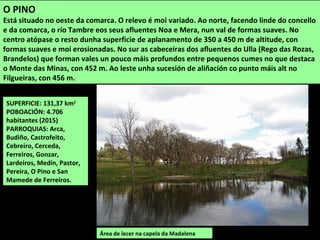 SUPERFICIE: 131,37 km2
POBOACIÓN: 4.706
habitantes (2015)
PARROQUIAS: Arca,
Budiño, Castrofeito,
Cebreiro, Cerceda,
Ferreiros, Gonzar,
Lardeiros, Medín, Pastor,
Pereira, O Pino e San
Mamede de Ferreiros.
Área de lecer na capela da Madalena
O PINO
Está situado no oeste da comarca. O relevo é moi variado. Ao norte, facendo linde do concello
e da comarca, o río Tambre eos seus afluentes Noa e Mera, nun val de formas suaves. No
centro atópase o resto dunha superficie de aplanamento de 350 a 450 m de altitude, con
formas suaves e moi erosionadas. No sur as cabeceiras dos afluentes do Ulla (Rego das Rozas,
Brandelos) que forman vales un pouco máis profundos entre pequenos cumes no que destaca
o Monte das Minas, con 452 m. Ao leste unha sucesión de aliñación co punto máis alt no
Filgueiras, con 456 m.
 