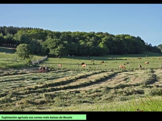 Explotación agrícola nos cumes máis baixos do Bocelo
 