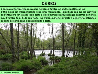 O Tambre en Boimorto
A comarca está repartida nas cuncas fluviais do Tambre, ao norte, e do Ulla, ao sur.
O Ulla é o río con máis percorrido e coa cunca máis grande. Fai de linde polo sur coa provincia
de Pontevedra cun trazado leste-oeste e recibe numerosos afluentes que discorren de norte a
sur. O Tambre fai de linde polo norte, cun trazado norleste-suroeste e recibe varios afluentes
de curto percorrido que circulan de leste a oeste.
OS RÍOS
 