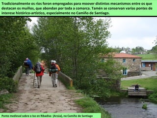 Ponte medieval sobre o Iso en Ribadiso (Arzúa), no Camiño de Santiago
Tradicionalmente os ríos foron empregados para moover distintos mecanismos entre os que
destacan os muíños, que abondan por toda a comarca. Tamén se conservan varias pontes de
interese histórico-artístico, especialmente no Camiño de Santiago.
 