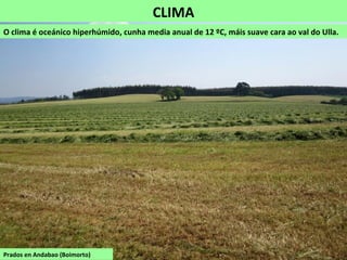 CLIMA
O clima é oceánico hiperhúmido, cunha media anual de 12 ºC, máis suave cara ao val do Ulla.
Prados en Andabao (Boimorto)
 