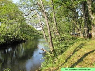 Área de lecer da Tarroeira, no Pino
 