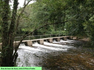 Área de lecer de Aiazo, entre O Pino e Frades
 