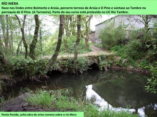 RÍO MERA
Nace nos lindes entre Boimorto e Arzúa, percorre terreos de Arzúa e O Pino e xúntase ao Tambre na
parroquia de O Pino. (A Tarroeira). Parte do seu curso está protexido no LIC Río Tambre.
Ponte Penide, unha obra de orixe romana sobre o río Mera
 