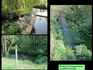 Río Mera na Tarroeira (O Pino),
na confluencia co Ulla
 
