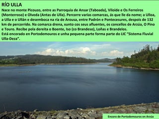 Encoro de Portodemouros en Arzúa
RÍO ULLA
Nace no monte Picouzo, entre as Parroquia de Ansar (Taboada), Viloide e Os Ferreiros
(Monterroso) e Olveda (Antas de Ulla). Percorre varias comarcas, ás que lle da nome; a Ulloa,
a Ulla e o Ullán e desemboca na ría de Arousa, entre Padrón e Pontecesures, despois de 132
km de percorrido. Na comarca drena, xunto cos seus afluentes, os concellos de Arzúa, O Pino
e Touro. Recibe pola dereita o Boente, Iso (co Brandeso), Loñas e Brandelos.
Está encorado en Portodemouros e unha pequena parte forma parte do LIC “Sistema Fluvial
Ulla-Deza”.
 