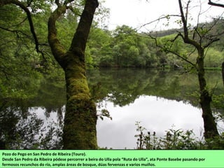 Pozo do Pego en San Pedro de Ribeira (Touro).
Desde San Pedro da Ribeira pódese percorrer a beira do Ulla pola “Ruta do Ulla”, ata Ponte Basebe pasando por
fermosos recunchos do río, amplas áreas de bosque, dúas fervenzas e varios muíños.
 