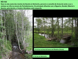 O río Iso en Boimorto
RÍO ISO
Nace na aba oeste dos montes do Bocelo en Boimorto, percorre o concello de Arzúa de norte a sur e
xúntase ao Ulla no encoro de Portodemouros. Os principais afluentes son o Rigueiro, Rendal, Ribeiral e
Boente, pola dereita, e Fondo e Brandeso, pola esquerda.
O río Iso na área de lecera de Ribadiso (Arzúa)
 
