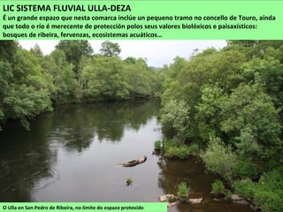 O Ulla en San Pedro de Ribeira, no límite do espazo protexido
LIC SISTEMA FLUVIAL ULLA-DEZA
É un grande espazo que nesta comarca inclúe un pequeno tramo no concello de Touro, aínda
que todo o río é merecente de protección polos seus valores biolóxicos e paisaxísticos:
bosques de ribeira, fervenzas, ecosistemas acuáticos…
 