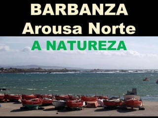 BARBANZA
Arousa Norte
A NATUREZA
 