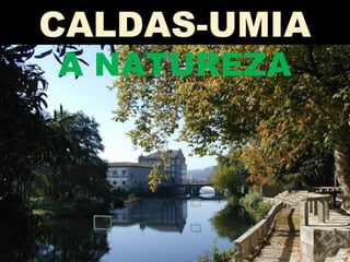CALDAS-UMIA
A NATUREZA
 