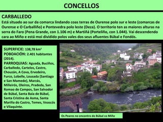 CONCELLOS
SUPERFICIE: 138,78 km2
POBOACIÓN: 2.401 habitantes
(2014).
PARROQUIAS: Aguada, Buciños,
Carballedo, Cartelos, Castro,
Chouzán, A Cova, Ervedeiro,
Furco, Lobelle, Lousada (Santiago
e San Mamede), Marzás,
Milleirós, Oleiros, Pradeda, San
Romao de Campos, San Salvador
de Búbal, Santa Baia de Búbal,
Santa Cristina de Asma, Santa
Mariña do Castro, Temes, Veascós
e Vilaquinte.
Os Peares no encontro do Búbal co Miño
CARBALLEDO
Está situado ao sur da comarca lindando coas terras de Ourense polo sur e leste (comarcas de
Ourense e O Carballiño) e Pontevedra polo leste (Deza). O territorio ten as maiores alturas na
serra do Faro (Pena Grande, con 1.106 m) e Martiñá (Porteliño, con 1.044). Vai descendendo
cara ao Miño e está moi dividido polos vales dos seus afluentes Búbal e Fondós.
 