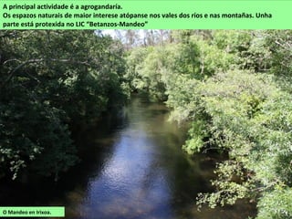 Aranga é un concello eminentemente rural sen grandes núcleos de poboación e cunha grande
superficie forestal. As actividade principal é a agrogandaría, en especial o gando vacún de
leite.
Acolle espazos de gran interese natural e etnográfico na contorna do río Mandeo e do seu
afluente Cambás. Varias rutas sinalizadas polo concello permiter percorrer estes ríos e a fraga
das Barbudas.
Ponte sobre o
Mandeo en
Aranga.
Canón do Mandeo
en Aranga
(A Castellana).
 