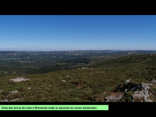 SUPERFICIE: 151,8 km2
POBOACIÓN: 5.275
habitantes (2014)
PARROQUIAS: Borrifáns,
Bragade, Carres, Cutián,
Dordaño, Figueiredo,
Filgueira de Barranca,
Filgueira de Traba,
Loureda, Mandaio,
Paderne, Probaos e
Trasanquelos (antes
Cesuras), Bandoxa, Cis,
Cuíña, Mondoi, Oza,
Parada, Porzomillos,
Reboredo, A Regueira,
Rodeiro, Salto e Vivente
(antes Oza dos Ríos).
OZA-CESURAS
É o concello máis novo de Galiza, constituído o 7 de xuño de 2013 por fusión dos concellos de
Cesuras e Oza dos Ríos.
Está situado no suroeste da comarca. O terreo encosta baixa cara ao oeste desde os montes
da Tieira, ao sur (520 m) e os montes do Gato, ao leste (550 m), nos que recollen as augas os
ríos Mero (recibe O Miñatos e o Felín) e Mendo (cos seus afluentes Furoca e Corveiro).
 