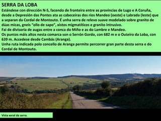 SUPERFICIE: 39,90 km2
POBOACIÓN: 2.502
habitantes (2014)
PARROQUIAS: Adragonte,
Obre, Paderne, Quintas,
San Pantaleón das Viñas,
San Xulián de Vigo,
Souto, Vilamourel e
Vilouzás.
Desembocadura do lambre na Ponte do Porco.
PADERNE
Está situado ao noroeste da comarca, na marxe dereita da ría de Betanzos. A capital
municipal é O Consistorio.
O territorio é unha sucesión de superficies de erosión situadas entre os vales dos ríos Lambre,
ao norte, e Mandeo, ao sur, coas máximas alturas ao leste, no Pico do Feal (409 m) e monte
Petón (338 m) e unha zona achairada no centro. A liña costeira vai desde o esteiro do Mandeo
ata o do Lambre e alterna pequenas áreas de rochas baixas con extensos areais protexidos.
 