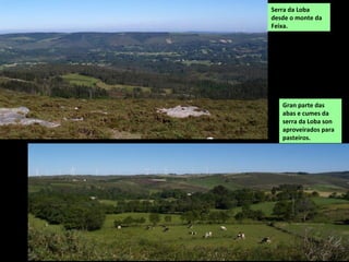 As principais actividades son a agrogandaría (especialmente gando vacún) e os servizos.
Os espazos de interese natural está asociados á costa e ao río Mandeo, ambos protexidos no
LIC: “Betanzos-Mandeo”.
Ponte do Pedrido,
na desembocadura
do Mandeo.
Igrexa de San
pantaleón das
Viñas, no camiño
de Santiago.
 