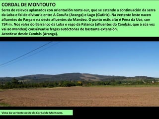 SUPERFICIE: 30,34 km2
POBOACIÓN: 1.236
habitantes (2014).
PARROQUIAS: Doroña,
Goimil, Grandal, Torres,
Vilamateo e Vilarmaior
Paisaxe de Vilarmaior.
VILARMAIOR
Ocupa una superficie de no nordeste da comarca. A capital municipal é A Armada.
O territorio é accidentado, moi fracturado e afectado pola erosión dos ríos. Sitúase na
transición entre as terras costeiras das Mariñas e as penichairas de Monfero e ten as máximas
altitudes no leste, no Catasol (440 m) e no Seixo Grande (375 m).
O río Baxoi cruza o concello de leste a oeste e o Lambre fai de linde polo sur.
 