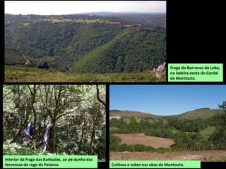 Igrexa románica de Doroña.
As principais actividades son os servizos, a agrogandaría e o sector forestal.
Os espazos naturais de maior interese atópanse nas marxes dos ríos.
No patrimonio cultural destacan as igrexas románicas de Santa María de Doroña, construída
en 1162, e a de San Pedro de Vilarmaior.
Área de lecer Muíño da
Ferreña, no río Anduriña.
 