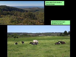 Igrexa de Santa María de Mezonzo. Formou
parte dun mosteiro suprimido no século XV.
A principal actividade é a agrogandaría, especialmente o gando vacún de leite e a forestal.
Os espazos de maior interese natural atópanse nas beiras dos ríos.
Conserva un importante patrimonio histórico artístico no que destaca a igrexa románica de
Santa María de Mezonzo.
Encoro da minicentral de Présara, na
confluencia dos ríos Tambre e Cabalar.
 