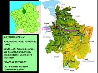 SUPERFICIE: 677 km2
POBOACIÓN: 37.452 habitantes
(2014)
CONCELLOS: Aranga, Betanzos,
Oza-Cesuras, Curtis, Irixoa,
Miño, Paderne, Vilarmaior e
Vilasantar
ESPAZOS PROTEXIDOS:
LICs “Betanzos-Mandeo”,
“Encoro de Cecebre”
 