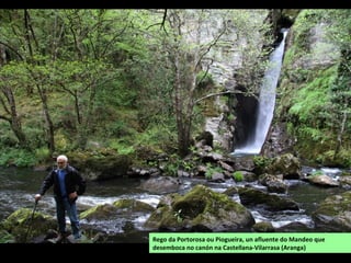 Nas augas dos ríos e nas beiras fórmanse
ecosistemas moi variados e dunha
grande riqueza biolóxica: bosques de
ribeira, pozas, marismas...
Asociados aos ríos consérvanse gran
cantidade de patrimonio cultural: pontes,
muíños, caneiros, lavadoiros...
Numerosas rutas por toda a comarca
permiten percorrer as zonas máis
interesantes.
Os cursos altos e medios dos ríos da
comarca están flanqueados por bosques
de ribeira ben conservados.
Esteiro do Baxoi. Os principais
ríos da comarca forman, na súa
desembocadura, esteiros dunha
grande riqueza biolóxica.
 