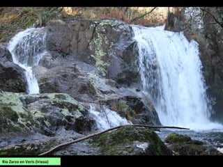 O Mandeo en Betanzos.
Moitos dos barcos do
río empréganse para
remontalo na romería
dos Caneiros.
O Mandeo en Chelo.
 