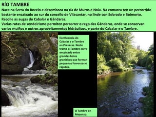 O Deo en Curtis
RÍO DEO
Nace nos montes da Carriceira e da Graña (Curtis) e xúntase co Mandeo na Castellana (Aranga). Os seus
principais afluentes son o Martín, o Carballido, o Rego de Porto Espiñeira e o Rego de Vilarraso.
 
